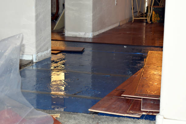 Professional Flood Damage Repair technician working in Clermont, IN